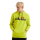 Ellesse Ανδρικό φούτερ SL Gottero OH Hoody